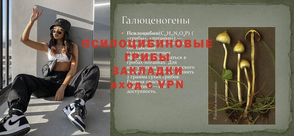 apvp Корсаков