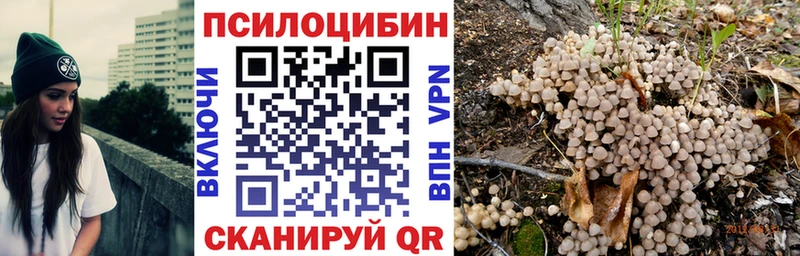 Купить закладки Пучеж Галлюциногенные грибы прущие грибы